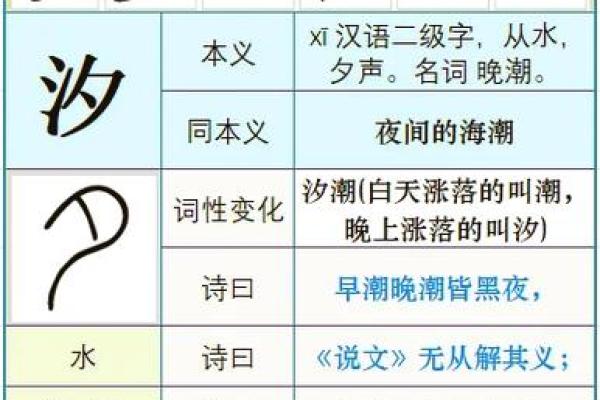 代字五行属性解析，揭开其背后的深层意义