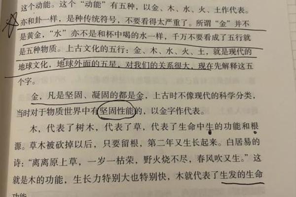 代字五行属性解析，揭开其背后的深层意义