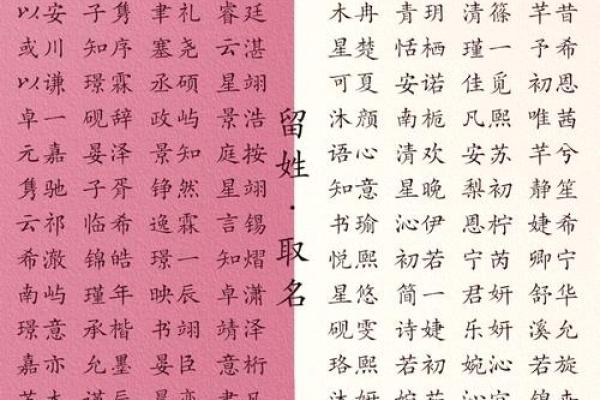 宝宝名字背后的文化与意义：如何挑选最合适的名字