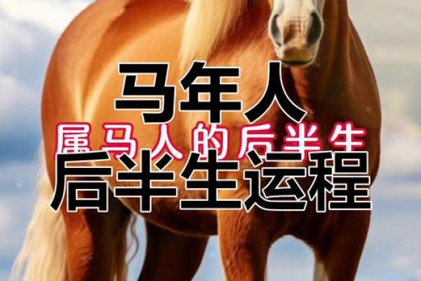 属马每月运程大揭示,事业感情财富运势全掌握 属马每月运程大揭示,事业感情财富运势全掌握