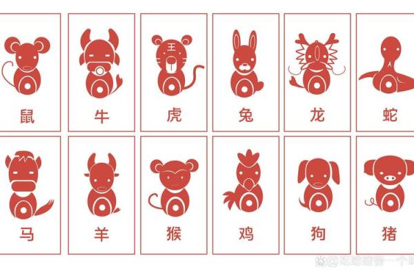 各生肖运程详解 各生肖运程详解