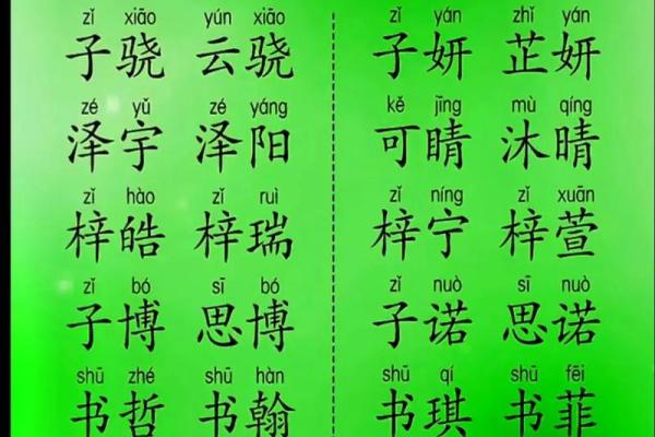 给宝宝起名字时需要注意的五大要素