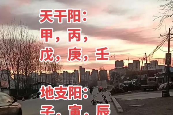 八字纯阳男命的优势与潜在风险 八字纯阳男命的优势与潜在风险