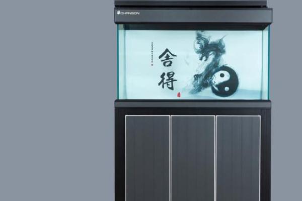 楚雄家居风水鱼缸公司让你居家运势更旺盛