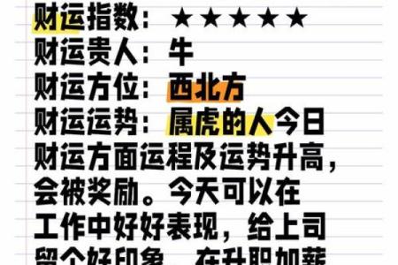 本命年虎男如何制定合理的人生规划