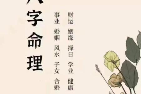 大宗生辰八字揭秘：掌握命运的关键就在这里！