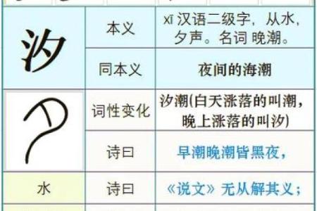 代字五行属性解析，揭开其背后的深层意义