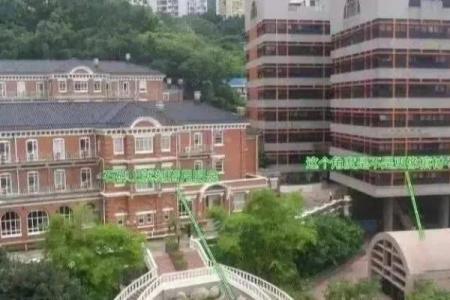 办公楼栽树风水常见误区及其解决方法