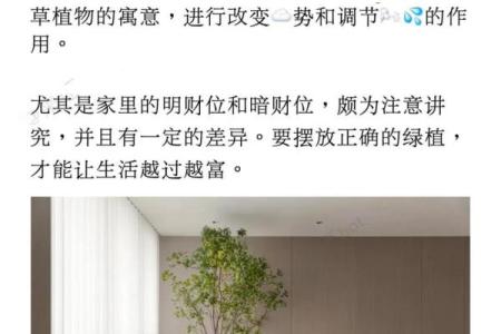 财位风水花的摆放技巧与增运方法