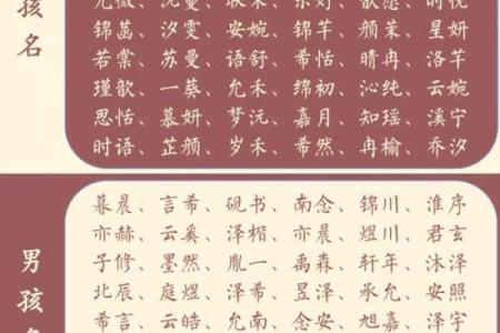 宝宝名字背后的文化与意义：如何挑选最合适的名字