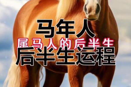 属马每月运程大揭示，事业感情财富运势全掌握