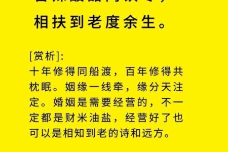 甲子姻缘：你与命运的深刻关系