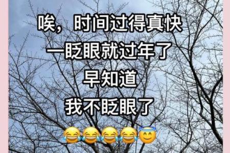 刘墉八字教你破解人生难题，命运掌控在自己手中