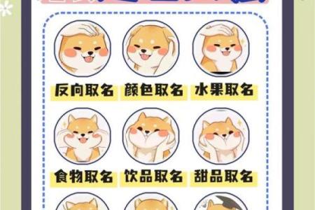 宠物行业公司命名创意指南 让品牌更具吸引力