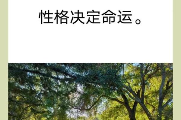 从八字看命硬的真实含义,掌握命运走向的关键 从八字看命硬的真实含义,掌握命运走向的关键