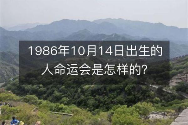 出生的人命运如何 出生的人命运如何