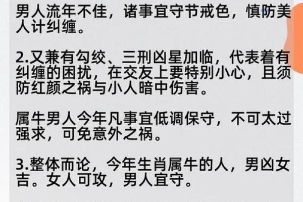 属牛人全年运势与重要注意事项 属牛人全年运势与重要注意事项