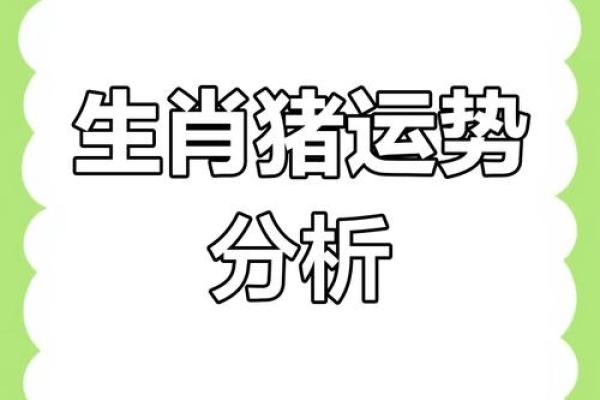 猪年出生的你每月运程分析,如何化解运势波动 猪年出生的你每月运程分析,如何化解运势波动