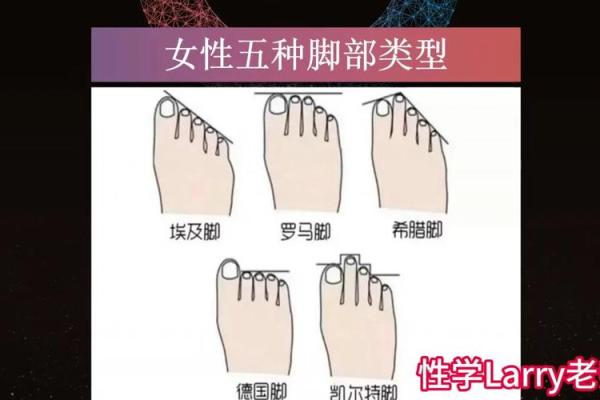 如何通过脚型辨识富贵命的女性特征 如何通过脚型辨识富贵命的女性特征