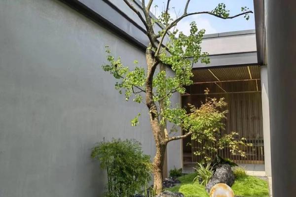 别墅天井风水设计要点及禁忌