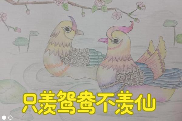 半鸳鸯命的真实含义及其对人生的影响 半鸳鸯命的真实含义及其对人生的影响
