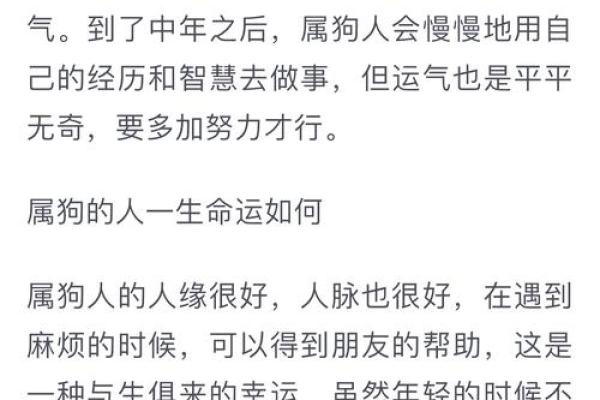 属狗人今年运势如何?深入解读整体运程 属狗人今年运势如何?深入解读整体运程