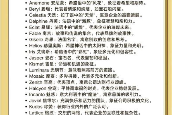 创意无限的姓名公司起名字大全助你轻松选择公司名称