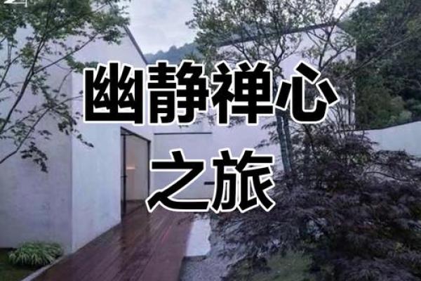 禅学之家家居风水：打造宁静和谐的居住环境