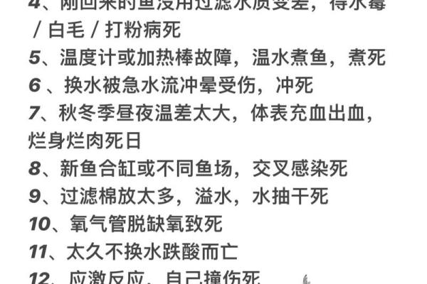 办公室养鱼如何影响职场运势与气场