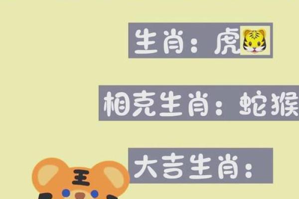 本命年属虎如何调节生活节奏 本命年属虎如何调节生活节奏