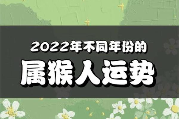 属猴人运势波动:每月运程详解与注意事项 属猴人运势波动:每月运程详解与注意事项
