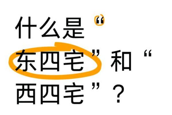 打造和谐空间的幸福家居风水图片摆放指南