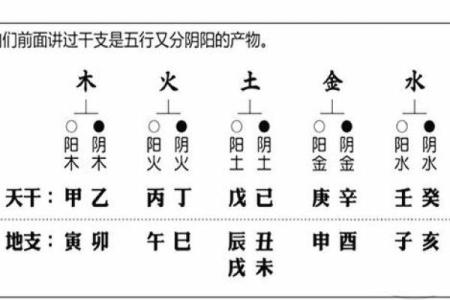 八字未的五行解析：如何通过未土提升命运运势