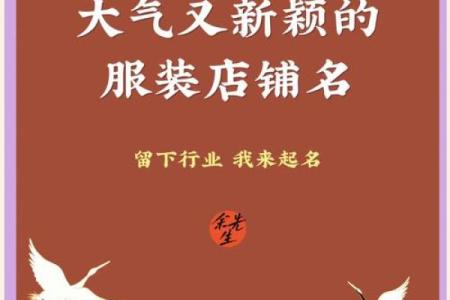 从零开始：服装店铺命名指南与创意技巧