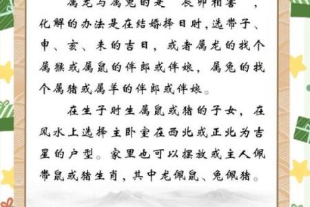 如何在本命年帮助兔男找到自己的方向