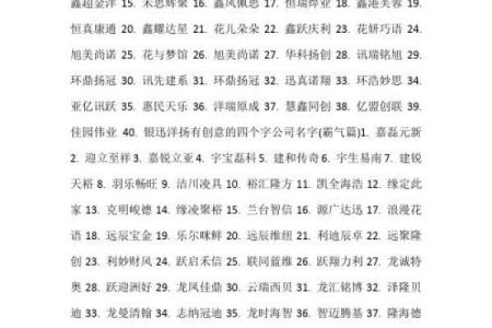 从梦阳到未来，如何选择一个有意义的公司名字