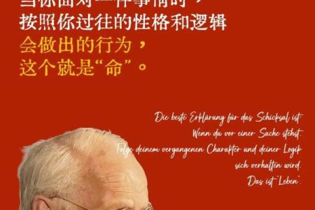 毕是命揭秘：如何影响你的一生