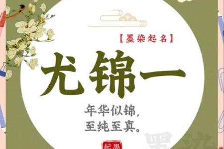 霸气十足的名字选择，彰显独特个性