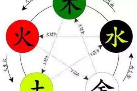 出生的人五行属什么命？揭秘你的命理特点与运势分析