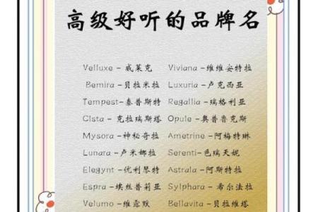 从五个角度解析公司起名，提升品牌价值
