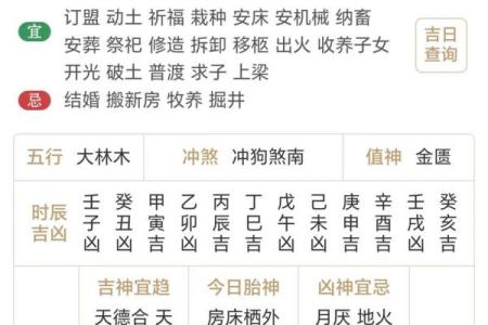 明日生肖运势如何？各大生肖运程一览