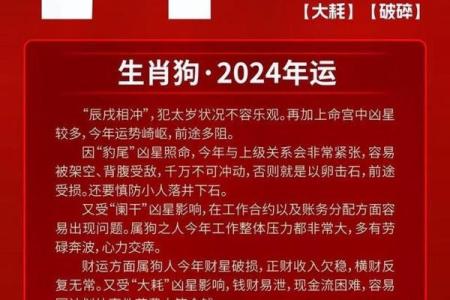 属狗月运概况：每月运势变化一览