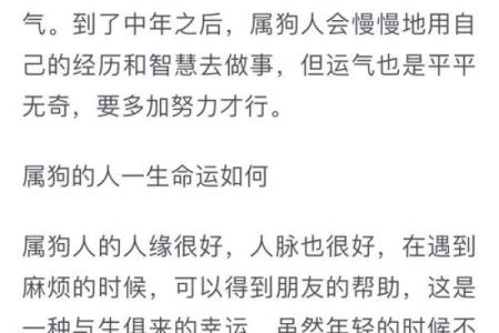 属狗人今年运势如何？深入解读整体运程