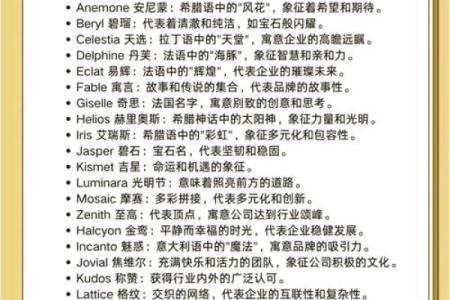 创意无限的姓名公司起名字大全助你轻松选择公司名称