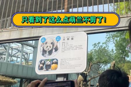 从动物园名字看品牌魅力，打造独特园区形象