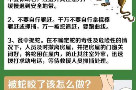 本命年蛇男的情感挫折与应对方法