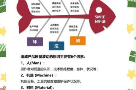 办公室养鱼如何影响职场运势与气场