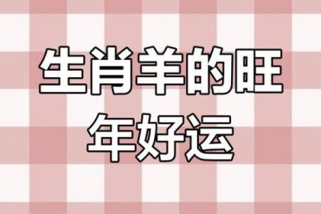 属羊人的每月财运与事业运势解析