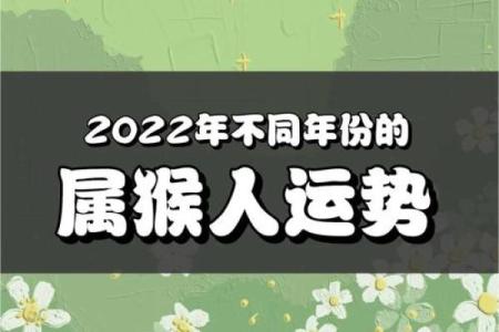 属猴人运势波动：每月运程详解与注意事项