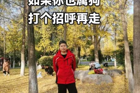 属狗人每月运势变化，有哪些重大转机
